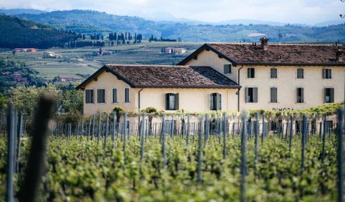 boutique hotels in Valpolicella