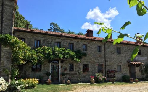 boutique hotels in Arezzo Area