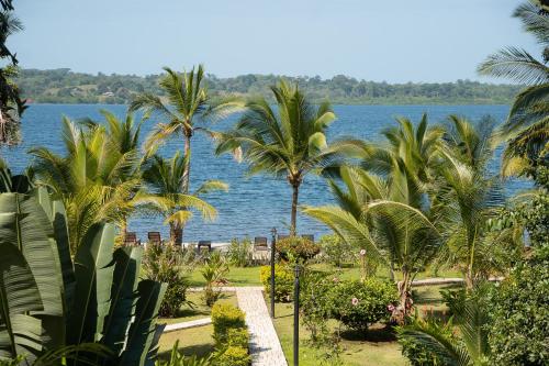 boutique hotels in Bocas Town