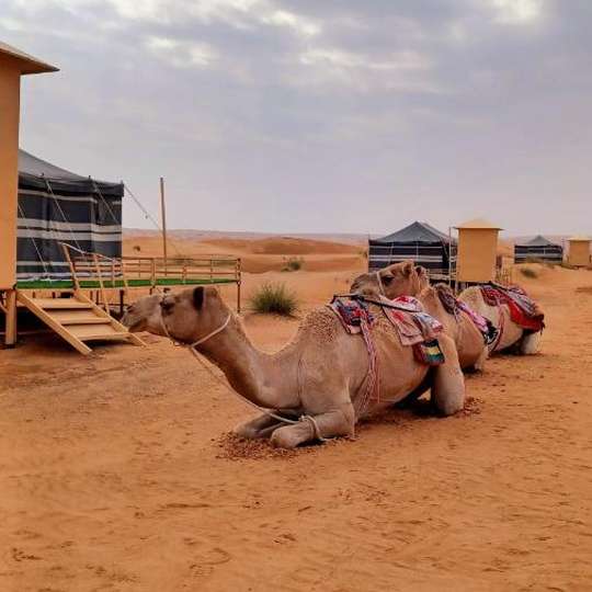 boutique hotels in Shāhiq