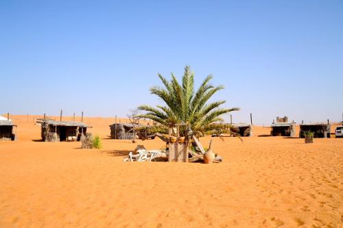 boutique hotels in Wahiba Sands