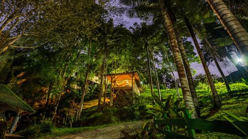 boutique hotels in Tolima