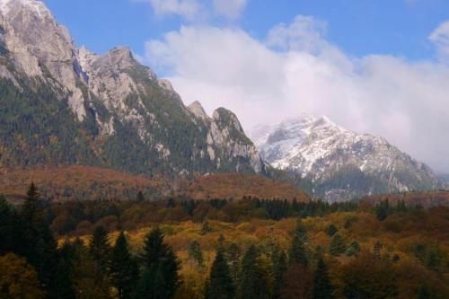 boutique hotels in Sinaia