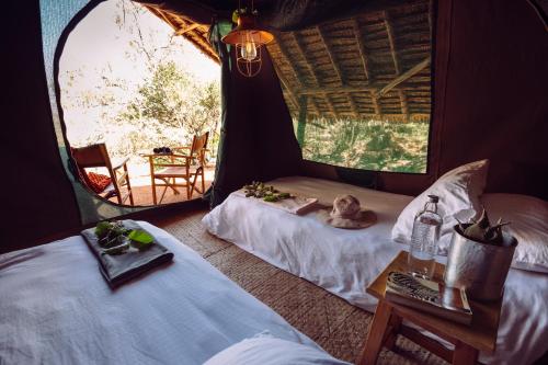 boutique hotels in Maasai Mara National Reserve