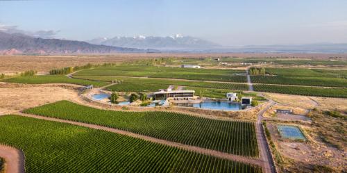 boutique hotels in Wine Route Mendoza