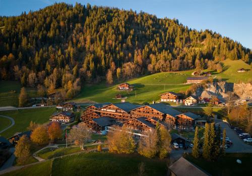 boutique hotels in Gstaad Saanenland