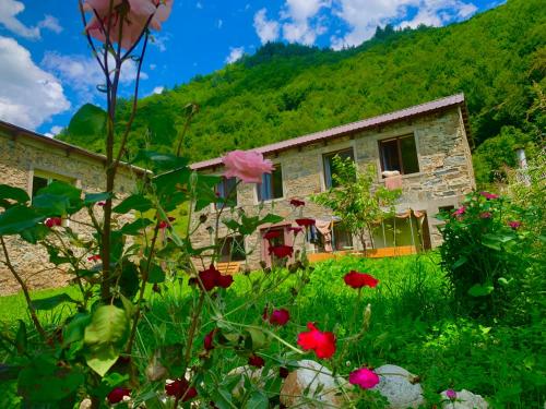 boutique hotels in Samegrelo Zveno-Svaneti