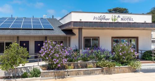 boutique hotels in California North