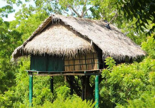 boutique hotels in Yala National Park