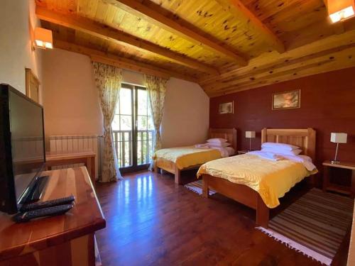 boutique hotels in Zabljak County