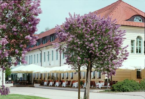 boutique hotels in Saxony