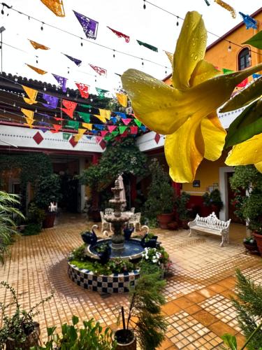 boutique hotels in Jalisco