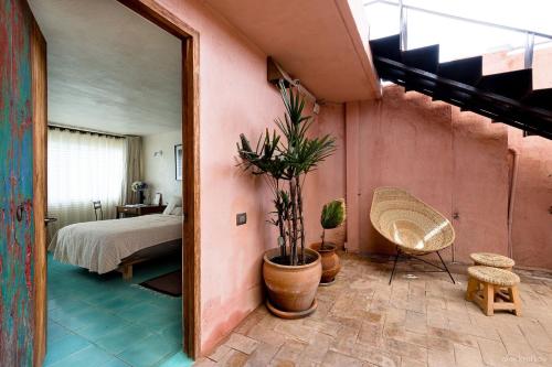 boutique hotels in Oaxaca