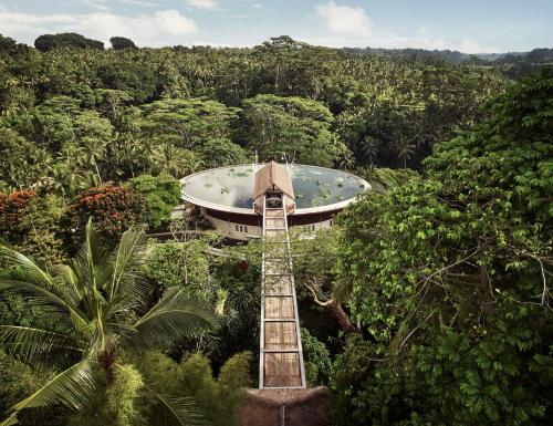boutique hotels in Ubud