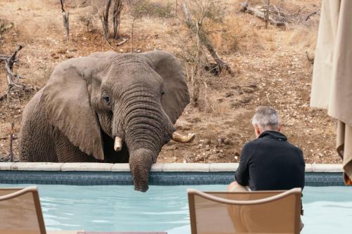 boutique hotels in Kruger National Park