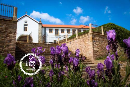 boutique hotels in Castelo Branco District