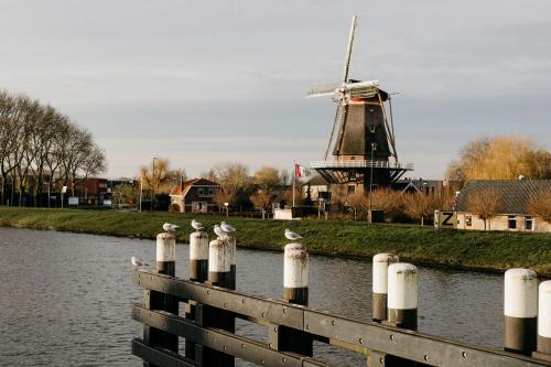 boutique hotels in Zuid-Holland Zuid