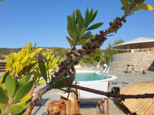 boutique hotels in Syros