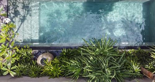 boutique hotels in Canggu