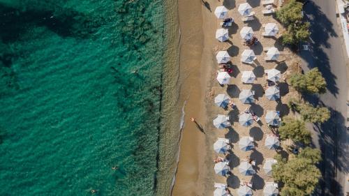 boutique hotels in Agia Anna Naxos