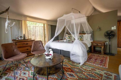 boutique hotels in Sabi Sand Game Reserve