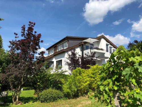 boutique hotels in Breisgau