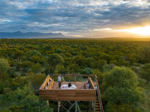 boutique hotels in Kapama Game Reserve