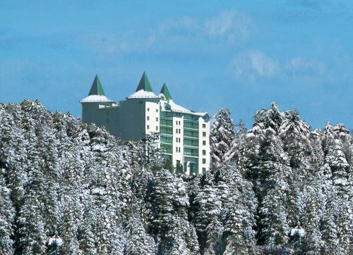 boutique hotels in Shimla