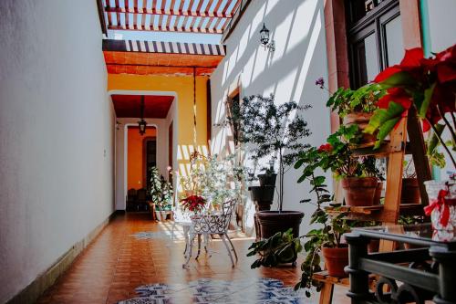 boutique hotels in San Luis Potosí