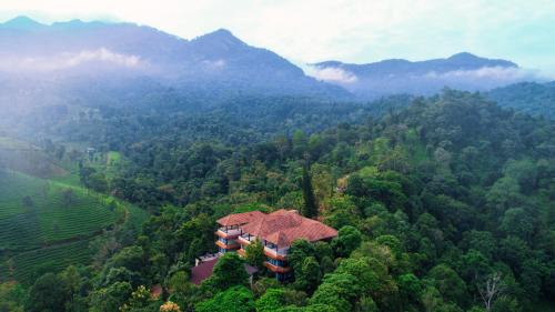 boutique hotels in Mahe, South