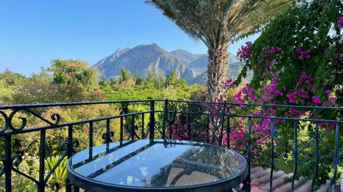 boutique hotels in Antalya