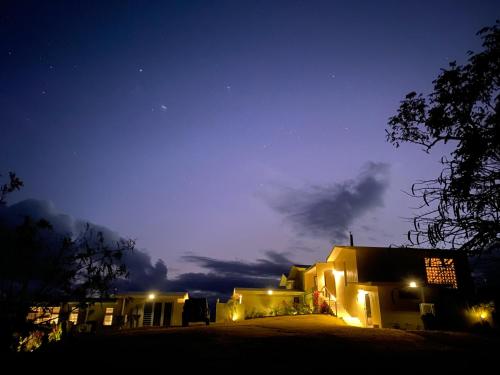 boutique hotels in Vieques