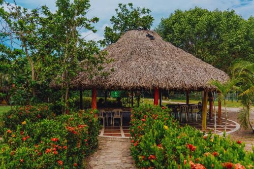 boutique hotels in Guajira