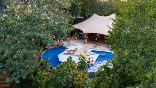 boutique hotels in Victoria Falls