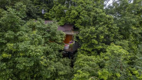 boutique hotels in Wayanad