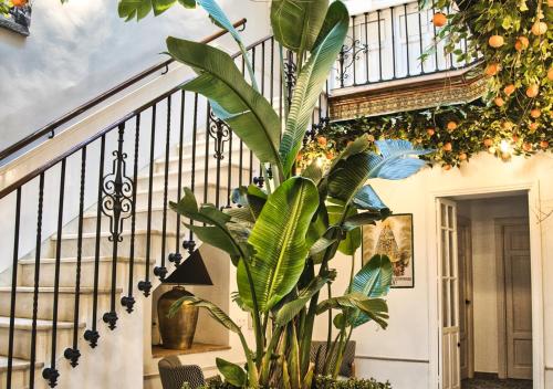 boutique hotels in Cadiz Province