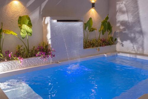 boutique hotels in Guajira